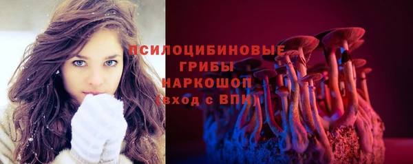 spice Абинск